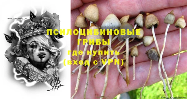 стафф Балахна