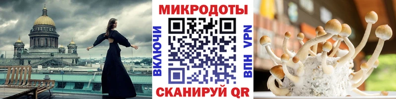 Псилоцибиновые грибы Magic Shrooms  Темников 